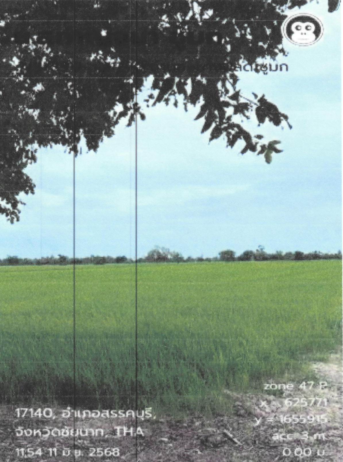 รูปที่ดินว่างเปล่า บางขุด สรรคบุรี ชัยนาท