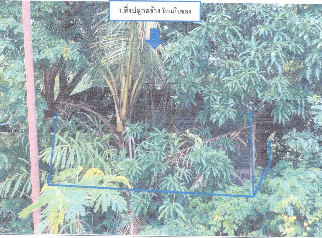 รูปที่ดินพร้อมสิ่งปลูกสร้าง พระนอน นครหลวง พระนครศรีอยุธยา