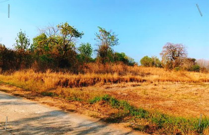 รูปที่ดินว่างเปล่า หนองไผ่ แก้งคร้อ ชัยภูมิ