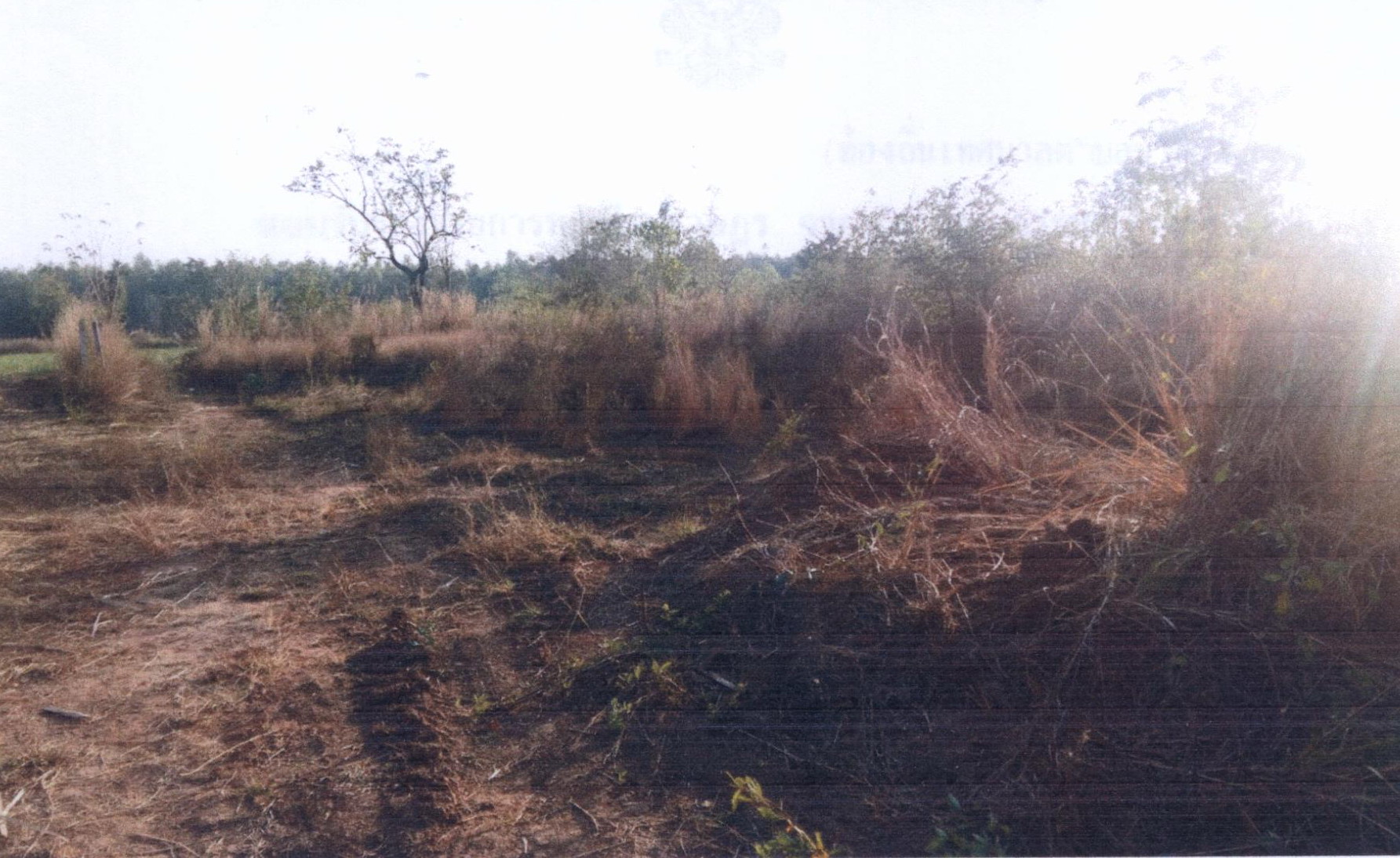รูปที่ดินว่างเปล่า หนองภัยศูนย์ เมืองหนองบัวลำภู หนองบัวลำภู