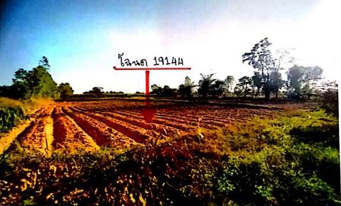 รูปที่ดินว่างเปล่า หนองกุงศรี หนองกุงศรี กาฬสินธุ์
