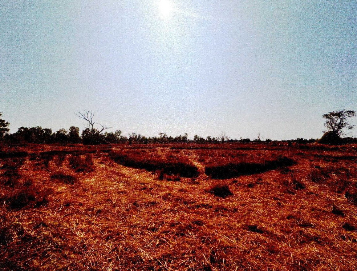 รูปที่ดินว่างเปล่า บ้านฝาง สระใคร หนองคาย