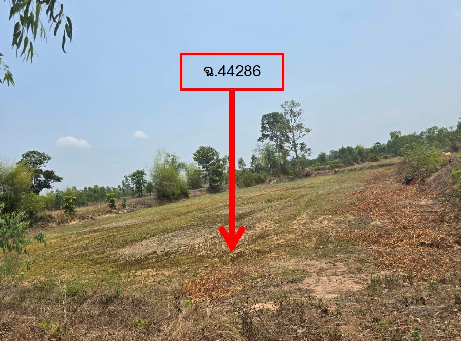 รูปที่ดินว่างเปล่า สำราญ เมืองยโสธร ยโสธร