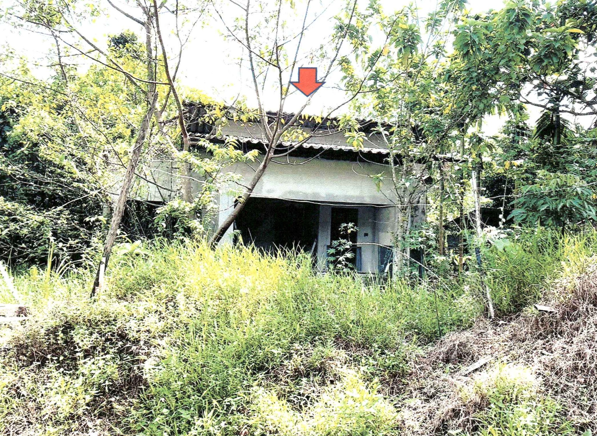 รูปที่ดินพร้อมสิ่งปลูกสร้าง รัษฎา เมืองภูเก็ต ภูเก็ต