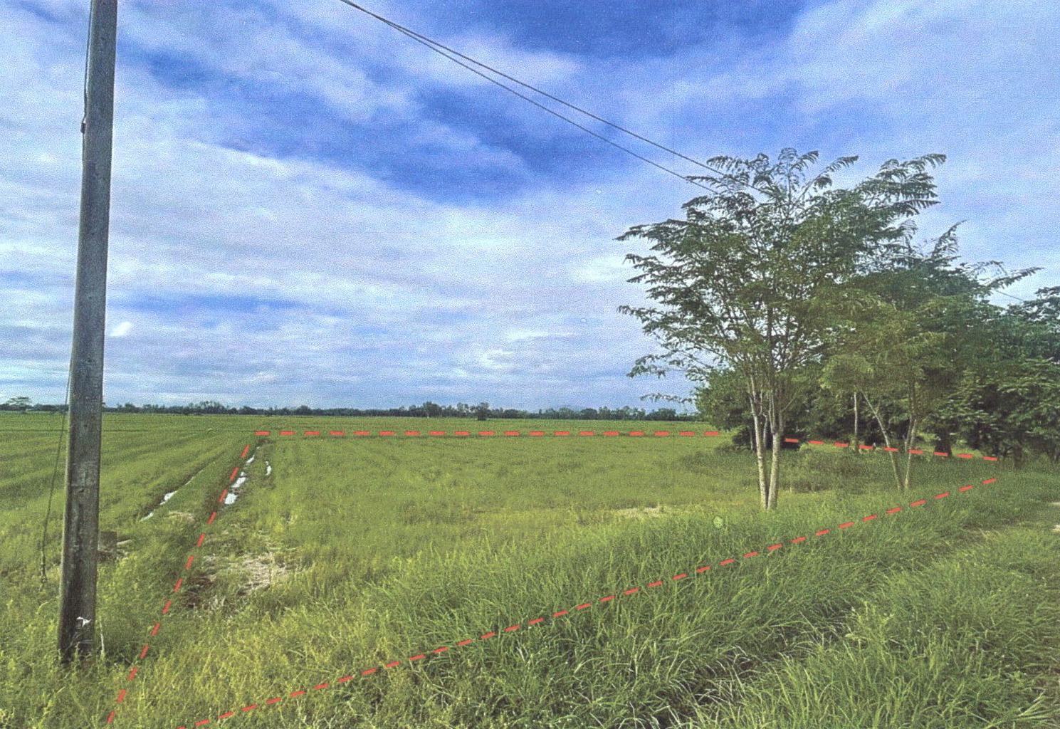 รูปที่ดินว่างเปล่า บ้านหม้อ พิชัย อุตรดิตถ์