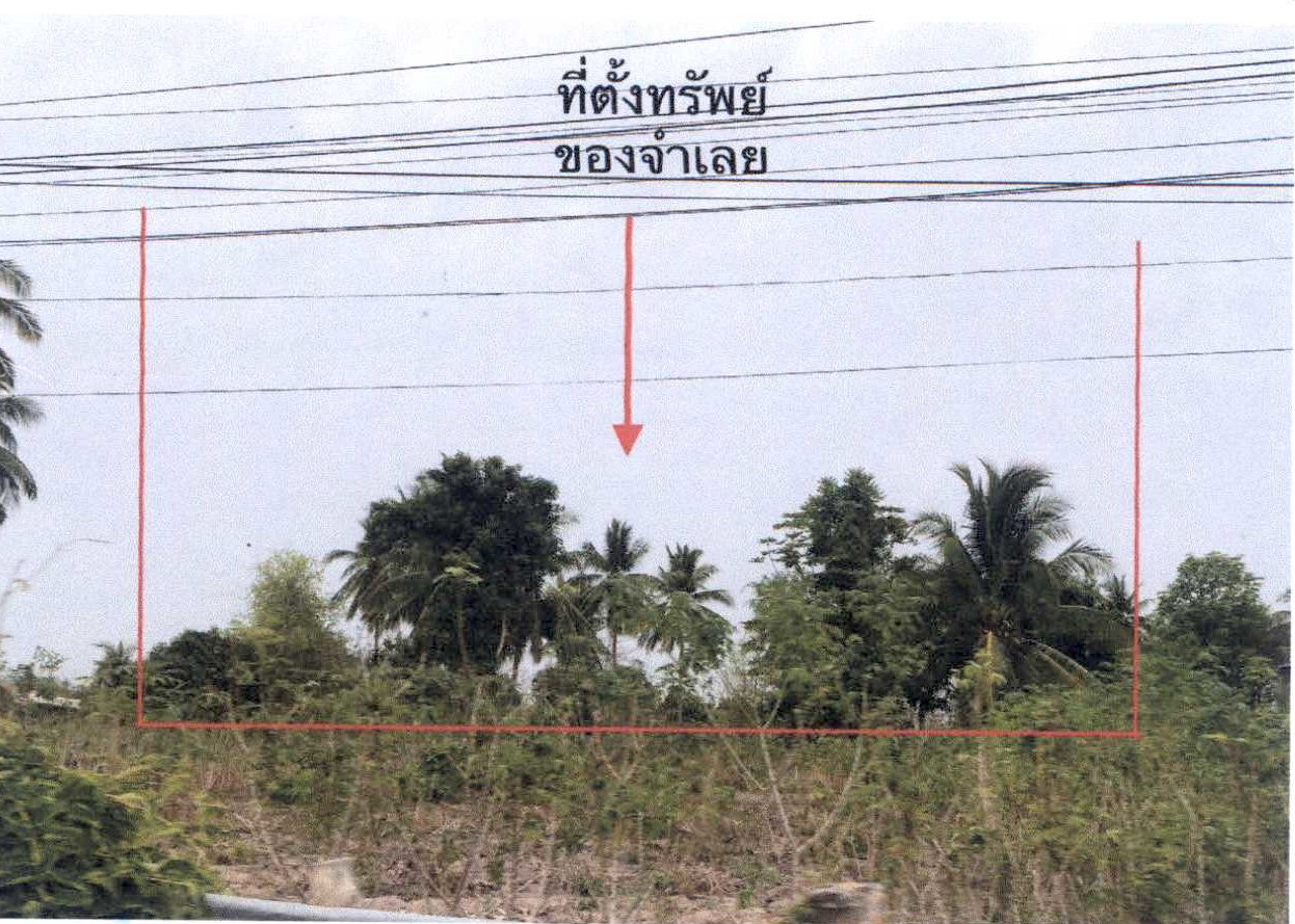 รูปที่ดินว่างเปล่า วังควง พรานกระต่าย กำแพงเพชร