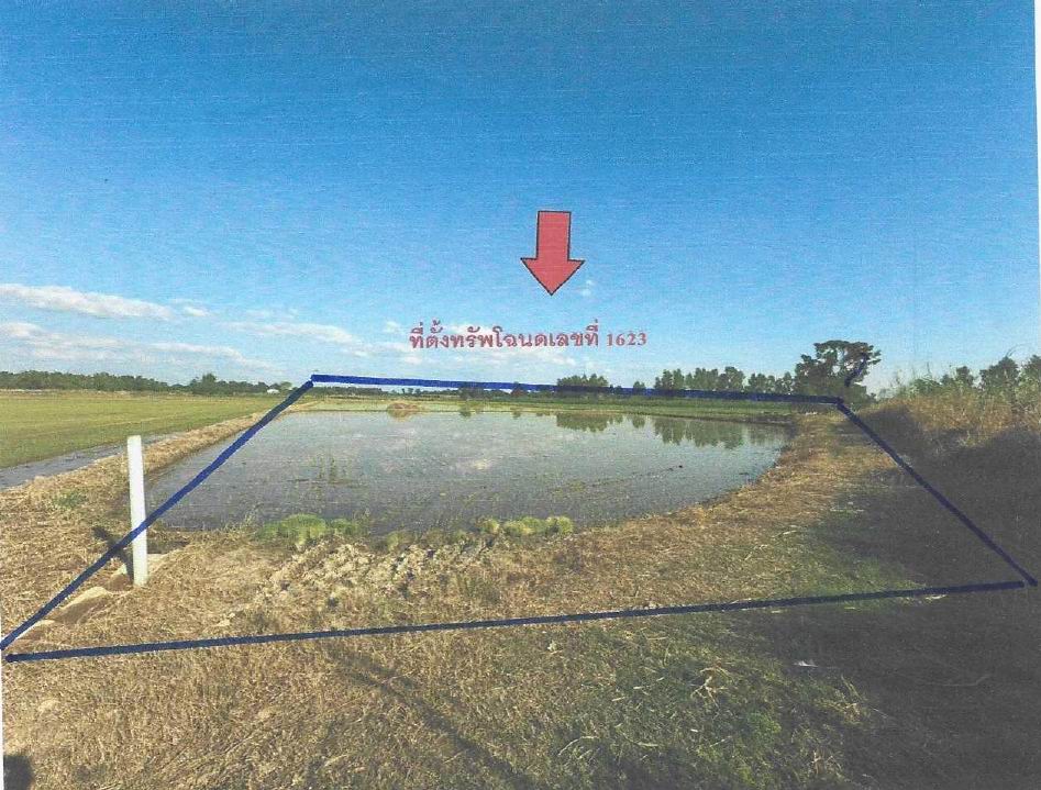 รูปที่ดินว่างเปล่า คลองมะพลับ ศรีนคร สุโขทัย