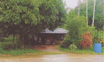 รูปที่ดินพร้อมสิ่งปลูกสร้าง บ้านนา ปะเหลียน ตรัง