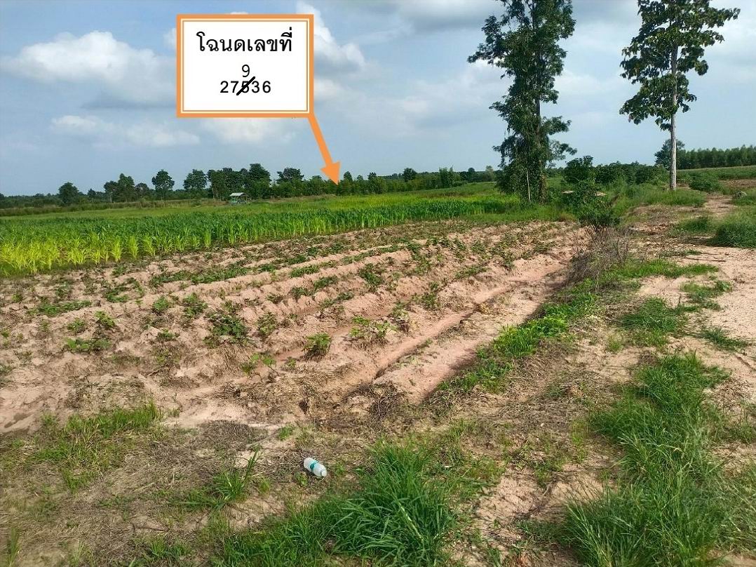 รูปที่ดินว่างเปล่า สระขวัญ เมืองสระแก้ว สระแก้ว