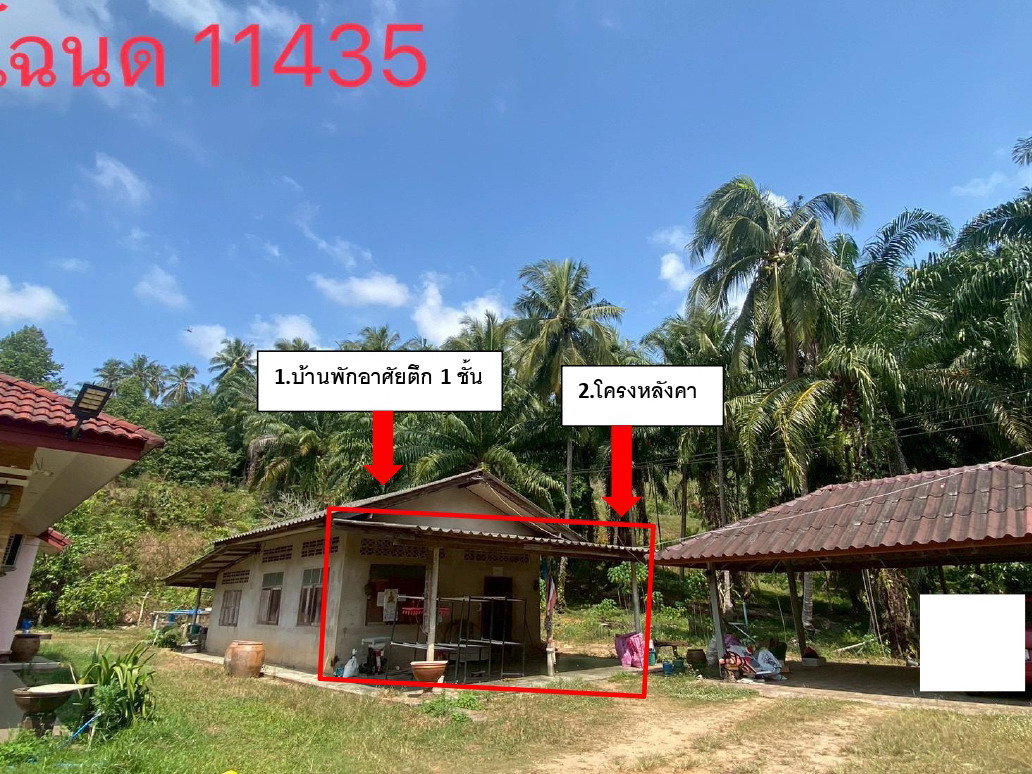 รูปที่ดินพร้อมสิ่งปลูกสร้าง ปากตะโก ทุ่งตะโก ชุมพร
