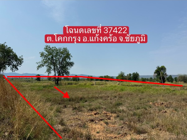 รูปที่ดินว่างเปล่า โคกกุง แก้งคร้อ ชัยภูมิ