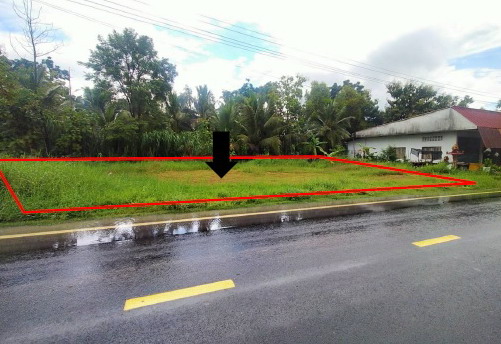 รูปที่ดินว่างเปล่า เมืองไผ่ กระสัง บุรีรัมย์