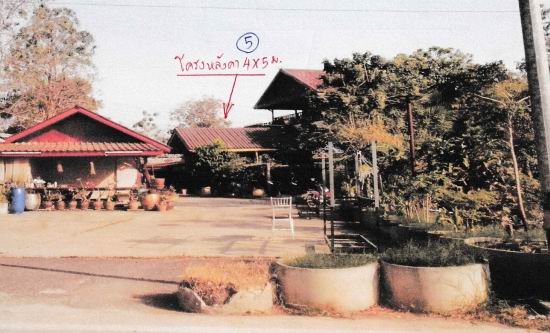รูปที่ดินพร้อมสิ่งปลูกสร้าง หนองขาว ท่าม่วง กาญจนบุรี