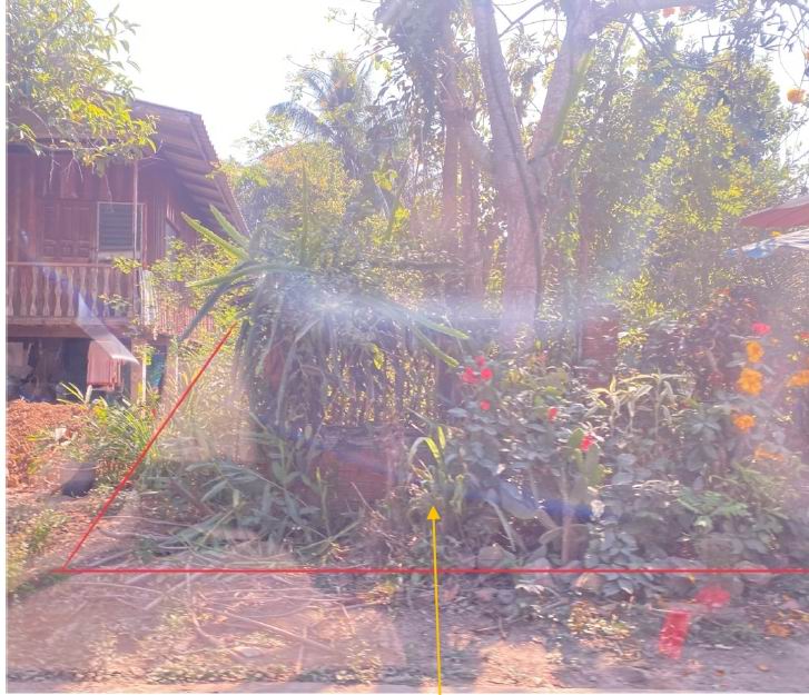 รูปที่ดินว่างเปล่า ม่วงคำ พาน เชียงราย