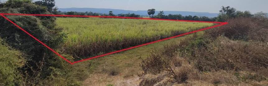 รูปที่ดินว่างเปล่า ตะขบ ปักธงชัย นครราชสีมา