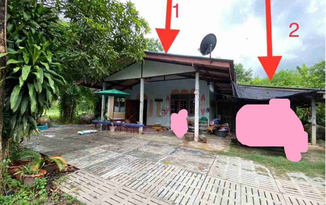 รูปที่ดินพร้อมสิ่งปลูกสร้าง ห้วยยางโทน ปากท่อ ราชบุรี