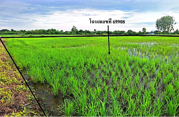 รูปที่ดินว่างเปล่า จันเสน ตาคลี นครสวรรค์