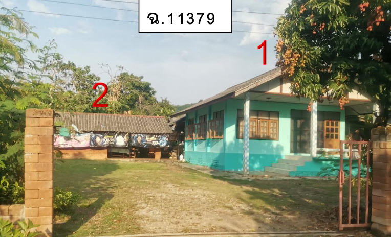 รูปที่ดินพร้อมสิ่งปลูกสร้าง ท่าข้าวเปลือก แม่จัน เชียงราย