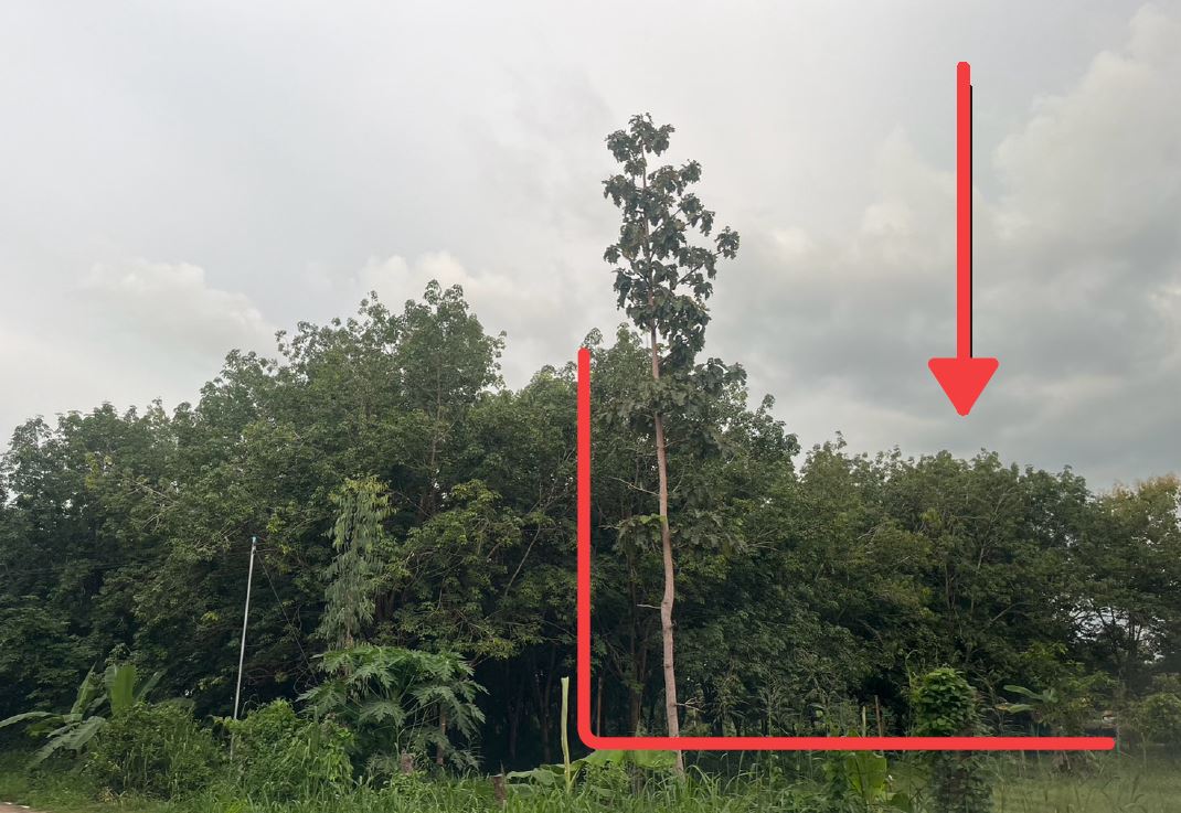 รูปที่ดินว่างเปล่า ขั้นไดใหญ่ เมืองยโสธร ยโสธร