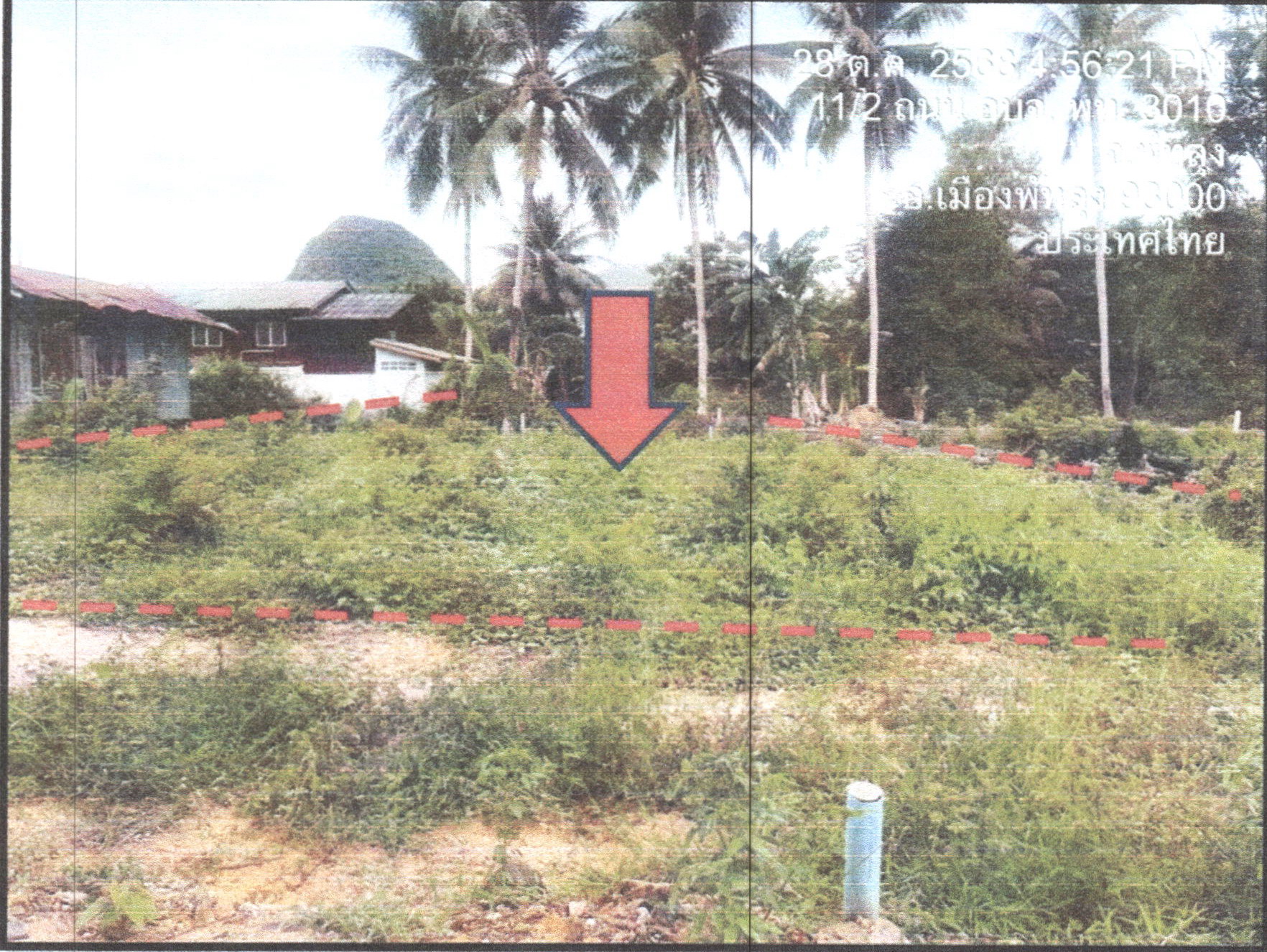 รูปที่ดินว่างเปล่า พญาขัน เมืองพัทลุง พัทลุง