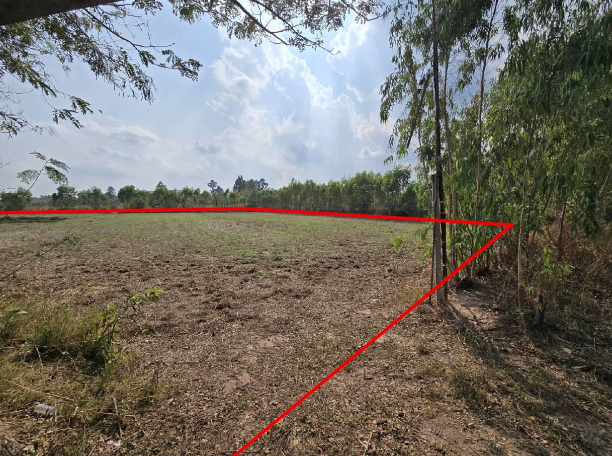 รูปที่ดินว่างเปล่า หนองหมี กุดชุม ยโสธร