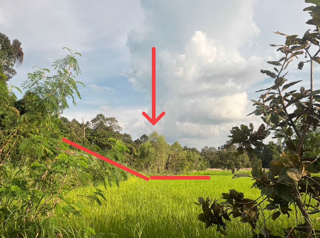 รูปที่ดินว่างเปล่า ดู่ทุ่ง เมืองยโสธร ยโสธร