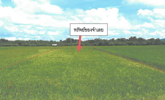 รูปที่ดินว่างเปล่า เขาแก้วศรีสมบูรณ์ ทุ่งเสลี่ยม สุโขทัย