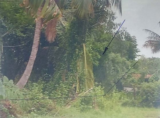 รูปที่ดินว่างเปล่า นาสะอาด สร้างคอม อุดรธานี