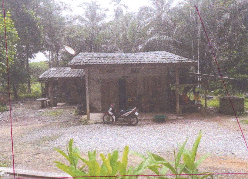 รูปที่ดินพร้อมสิ่งปลูกสร้าง บ้านนา ปะเหลียน ตรัง
