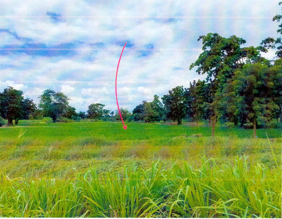 รูปที่ดินว่างเปล่า โคกสูง เมืองชัยภูมิ ชัยภูมิ