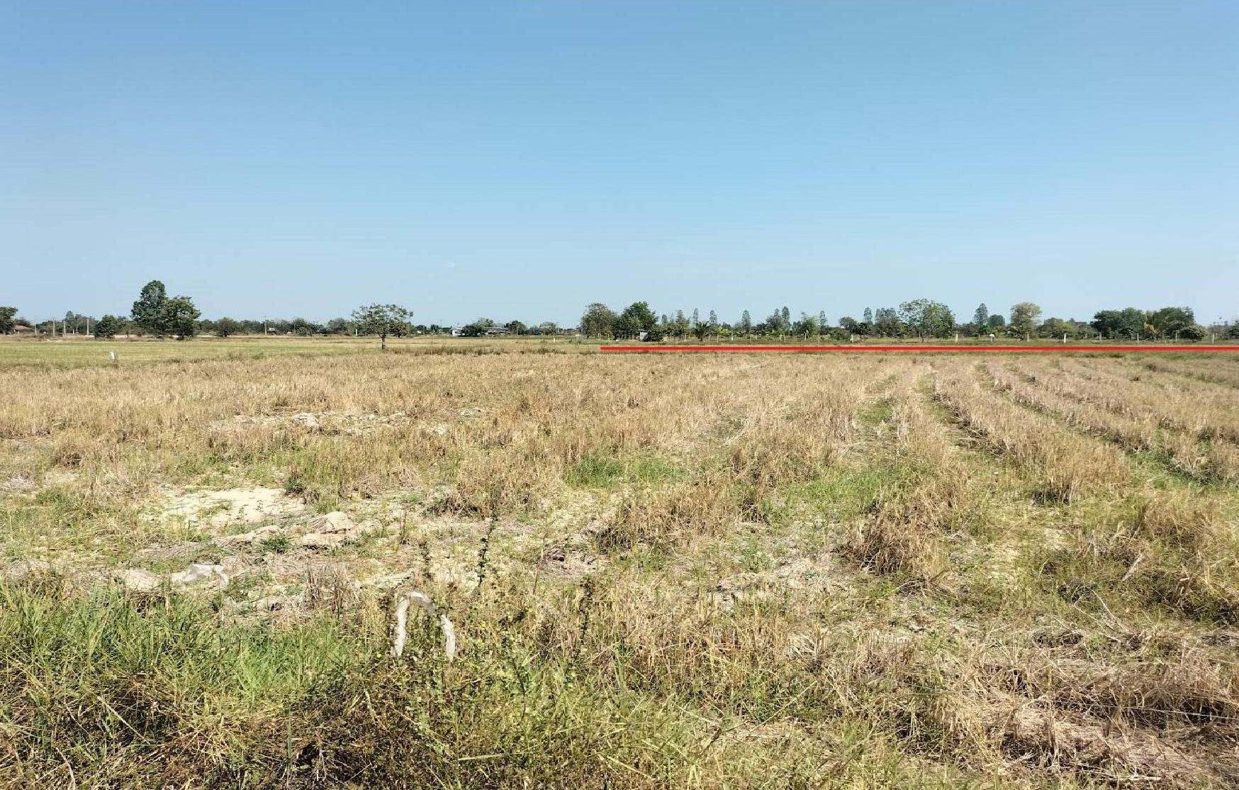รูปที่ดินว่างเปล่า ไร่รถ ดอนเจดีย์ สุพรรณบุรี