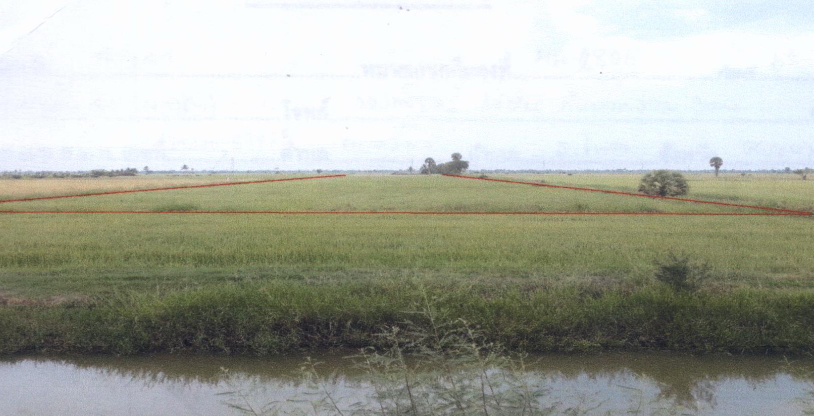 รูปที่ดินว่างเปล่า ตะเครียะ ระโนด สงขลา