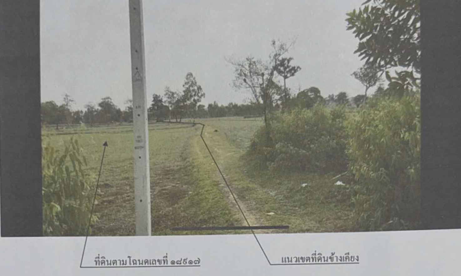 รูปที่ดินว่างเปล่า ฟ้าหยาด มหาชนะชัย ยโสธร