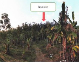 รูปที่ดินว่างเปล่า ปะตง สอยดาว จันทบุรี