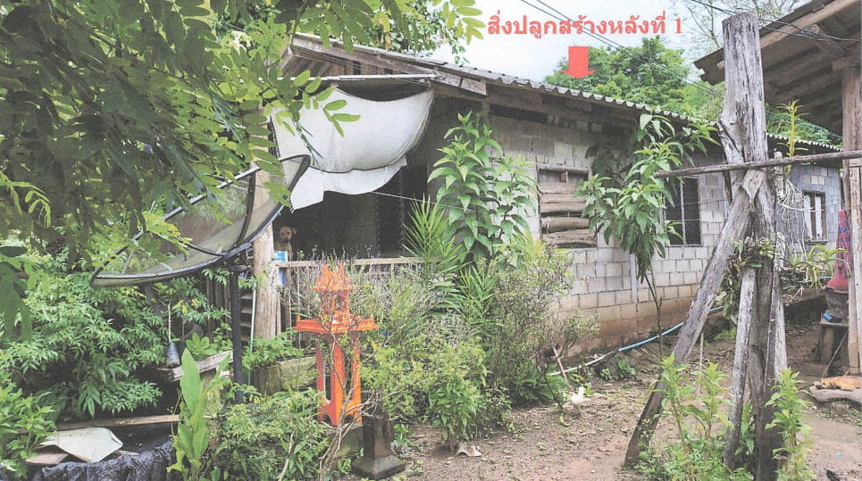 รูปที่ดินพร้อมสิ่งปลูกสร้าง กื้ดช้าง แม่แตง เชียงใหม่