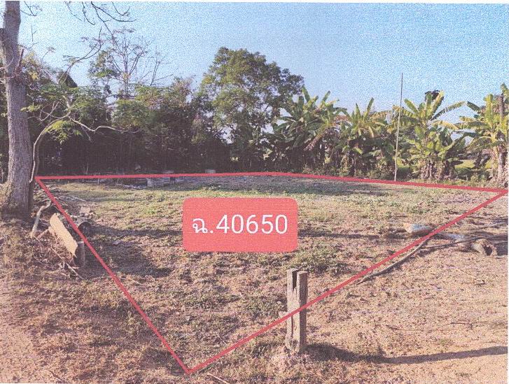 รูปที่ดินว่างเปล่า บ้านนา ศรีสำโรง สุโขทัย
