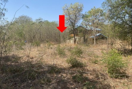 รูปที่ดินว่างเปล่า ท่าวัด แวงน้อย ขอนแก่น