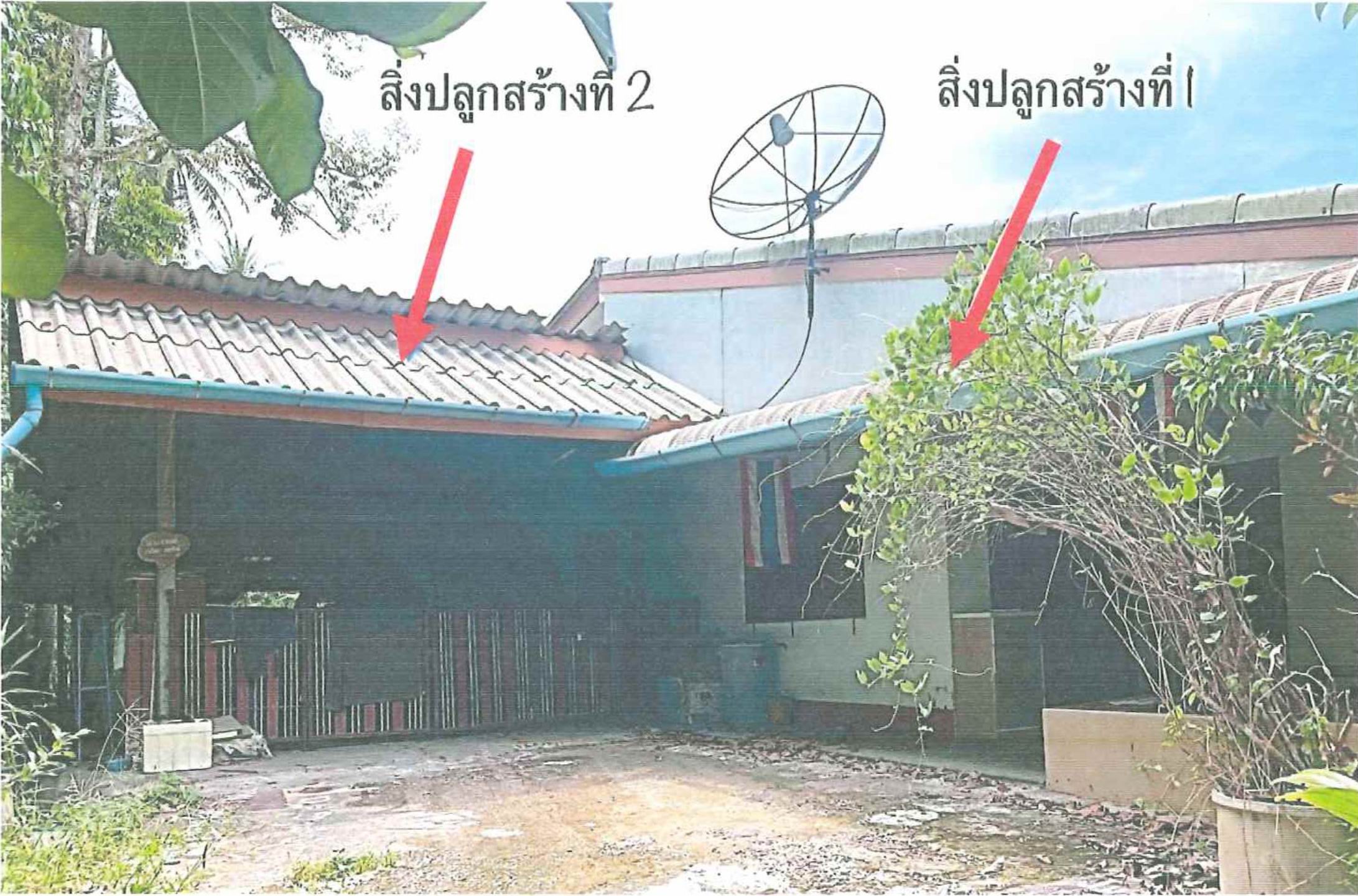 รูปที่ดินพร้อมสิ่งปลูกสร้าง ทุ่งพลา โคกโพธิ์ ปัตตานี
