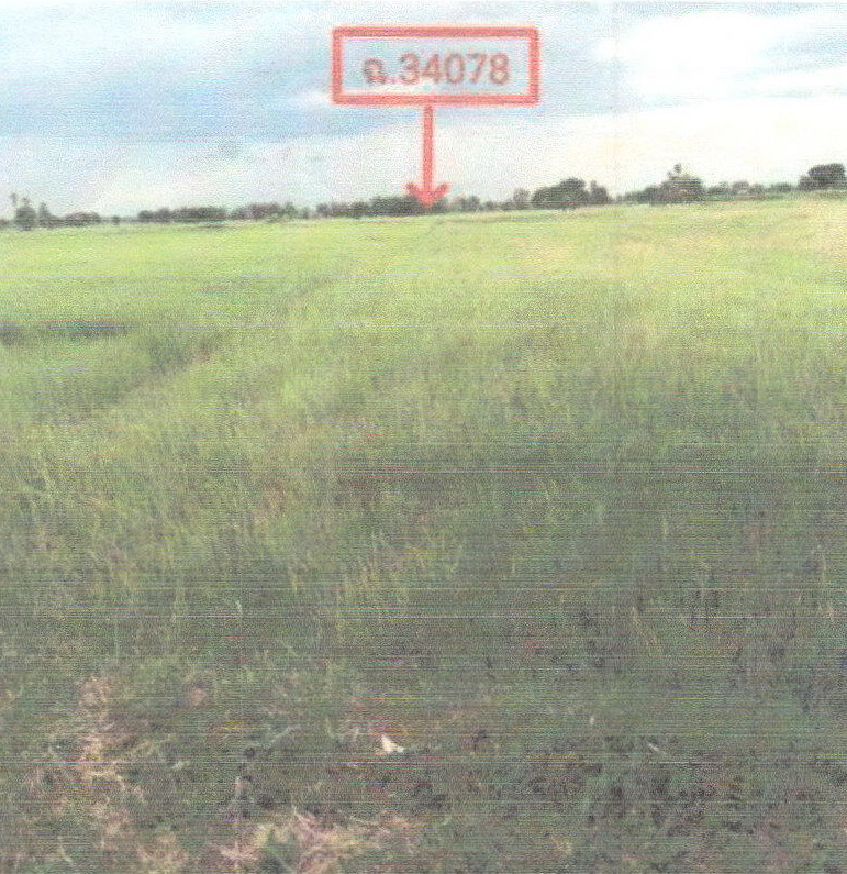 รูปที่ดินว่างเปล่า บ้านค่าย เมืองชัยภูมิ ชัยภูมิ