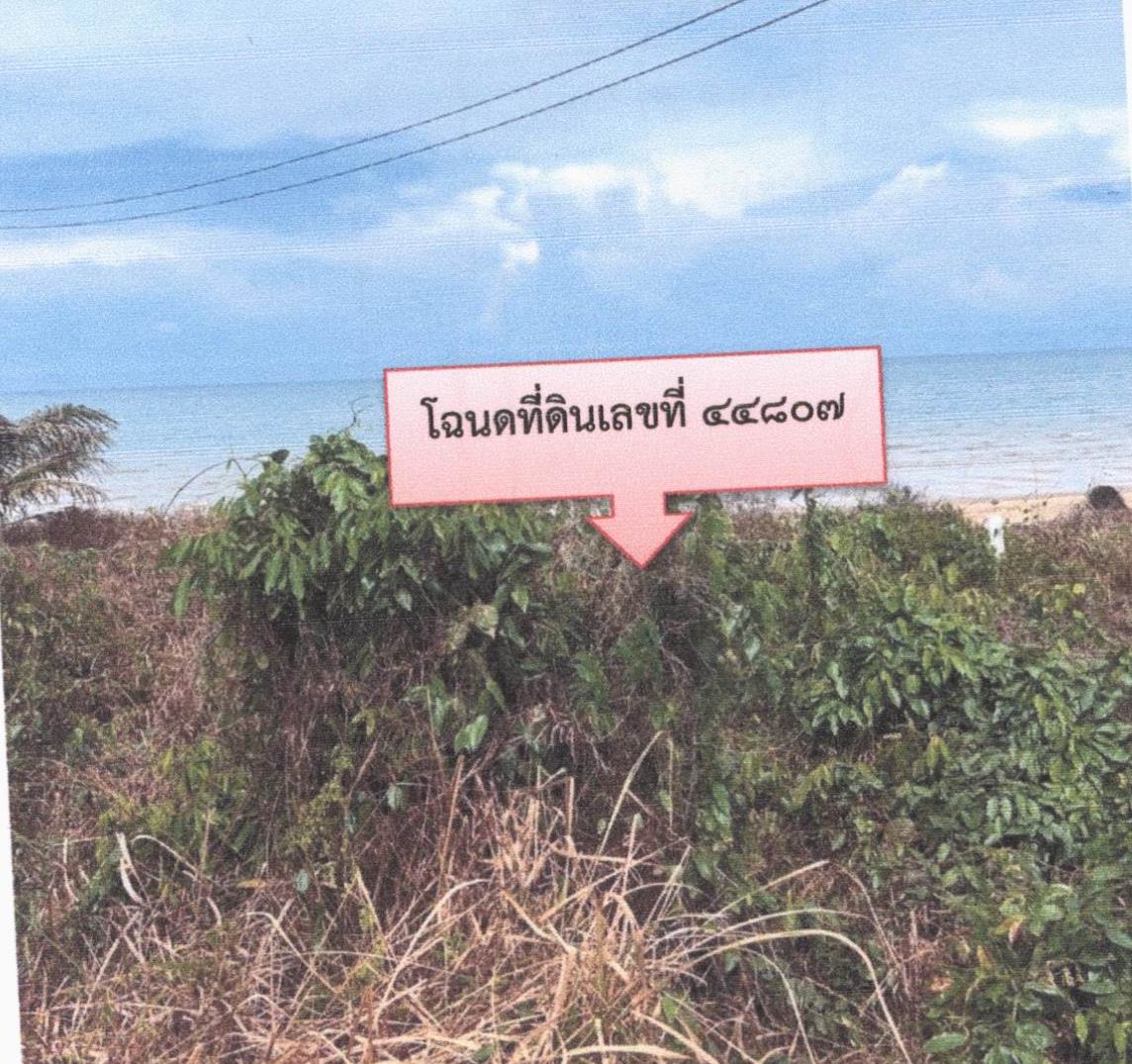รูปที่ดินว่างเปล่า บางมะพร้าว หลังสวน ชุมพร