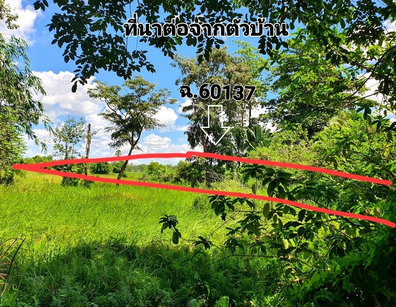 รูปที่ดินพร้อมสิ่งปลูกสร้าง พรรณา พรรณานิคม สกลนคร