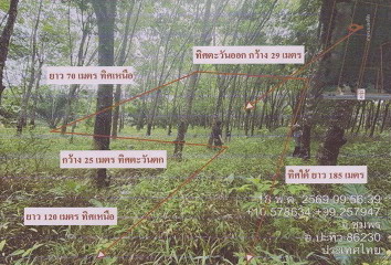 รูปที่ดินว่างเปล่า สะพลี ปะทิว ชุมพร