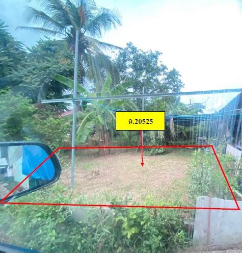 รูปที่ดินว่างเปล่า ทับคล้อ ทับคล้อ พิจิตร