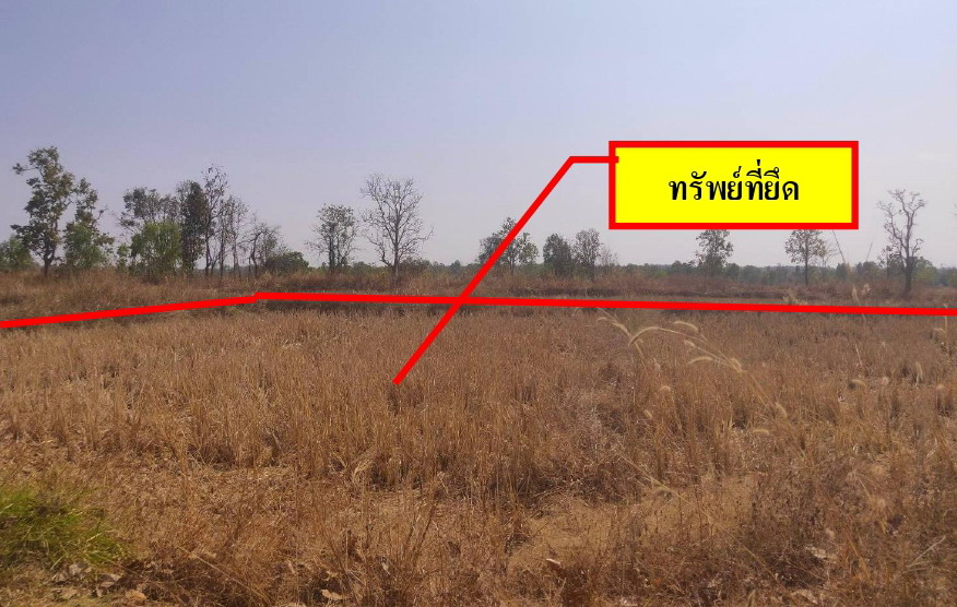 รูปที่ดินว่างเปล่า หนองลาด เมืองสกลนคร สกลนคร