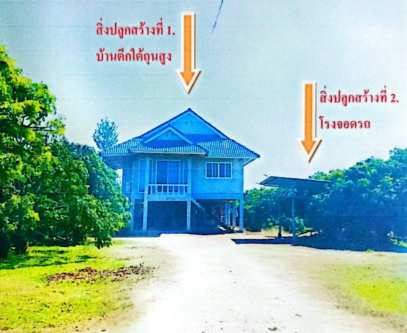 รูปที่ดินพร้อมสิ่งปลูกสร้าง น้ำดิบ ป่าซาง ลำพูน