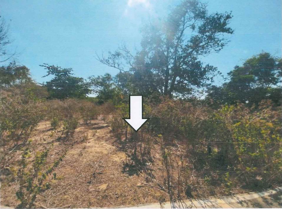 รูปที่ดินว่างเปล่า โคกหล่อ เมืองตรัง ตรัง
