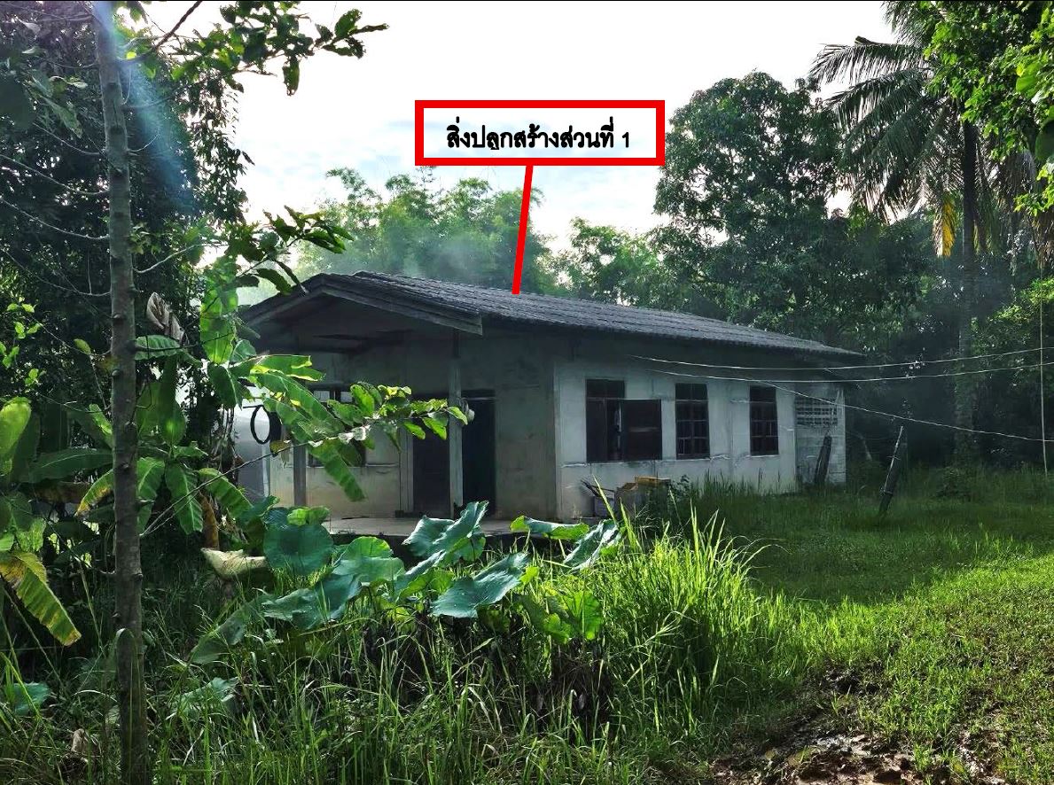 รูปที่ดินพร้อมสิ่งปลูกสร้าง เขื่องคำ เมืองยโสธร ยโสธร