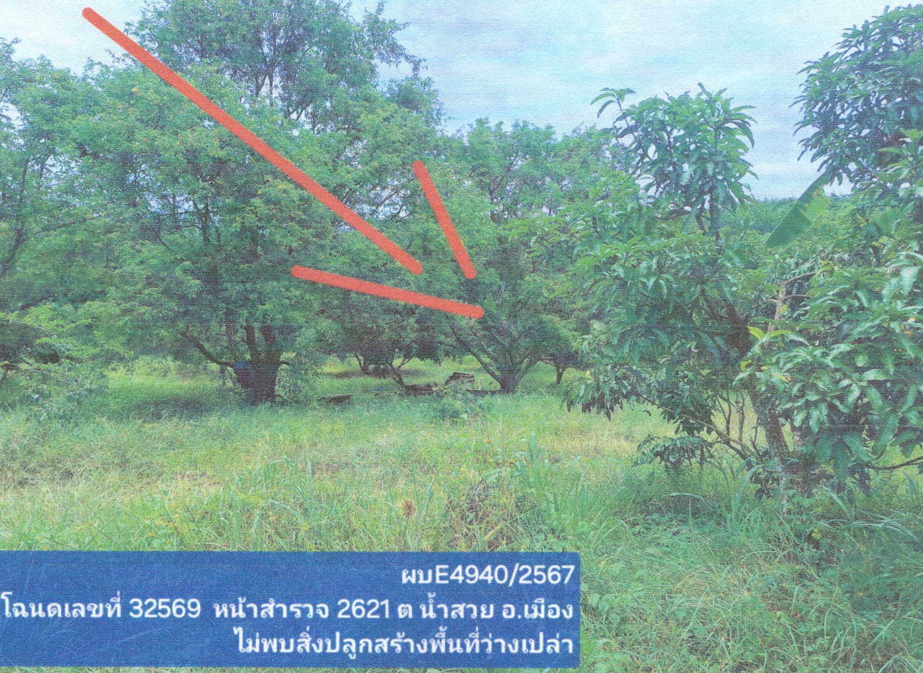 รูปที่ดินว่างเปล่า น้ำสวย เมืองเลย เลย