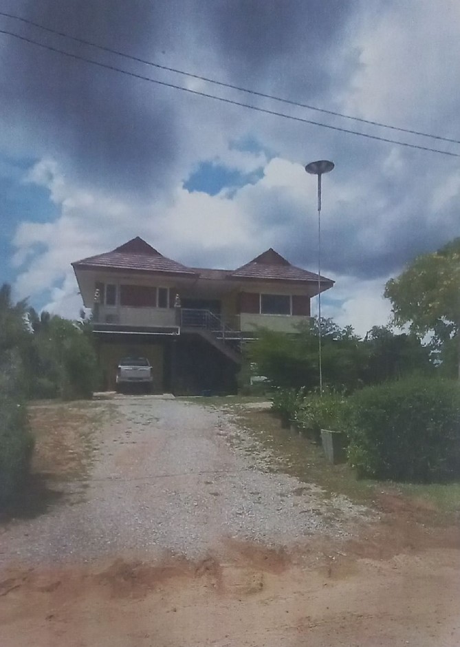 รูปที่ดินพร้อมสิ่งปลูกสร้าง วังโรงใหญ่ สีคิ้ว นครราชสีมา