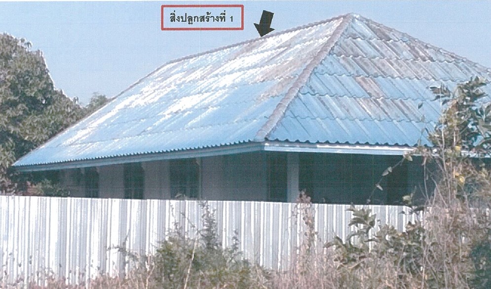 รูปที่ดินพร้อมสิ่งปลูกสร้าง หนองปลิง เมืองนครสวรรค์ นครสวรรค์